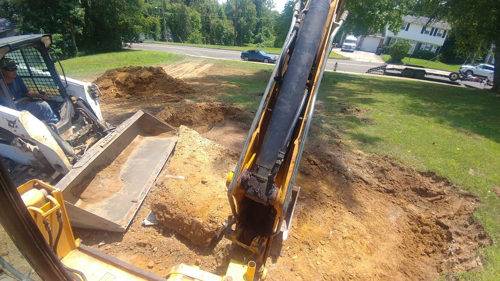 When Is the Best Time to Trim Trees in Prince Frederick, MD?