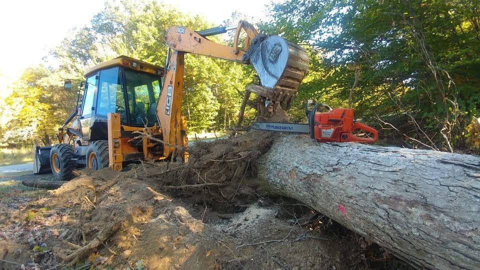 Stump Grinding vs. Stump Removal: What La Plata, MD Homeowners Should Know