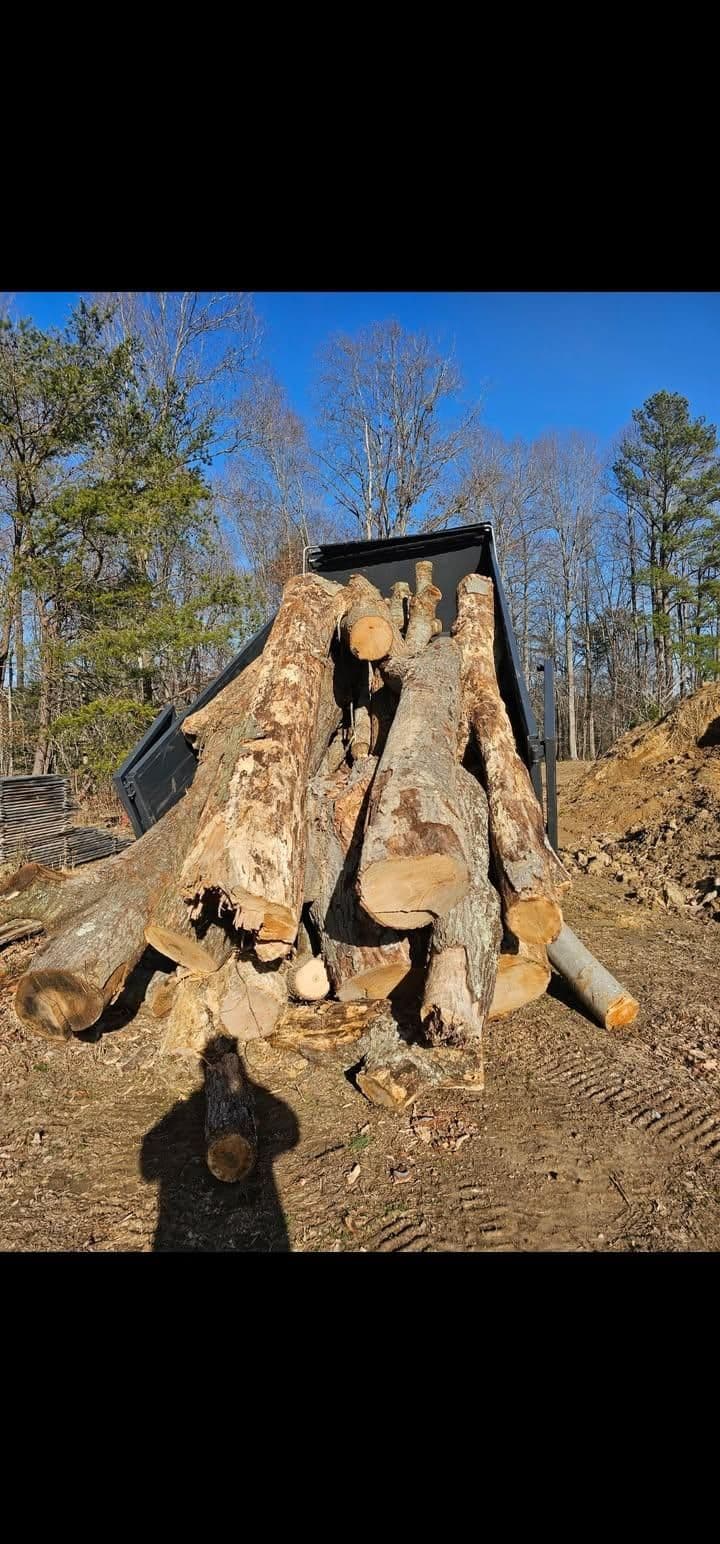 Tree Trimming & Removal in Brandywine, MD by Hired Gunz Services LLC