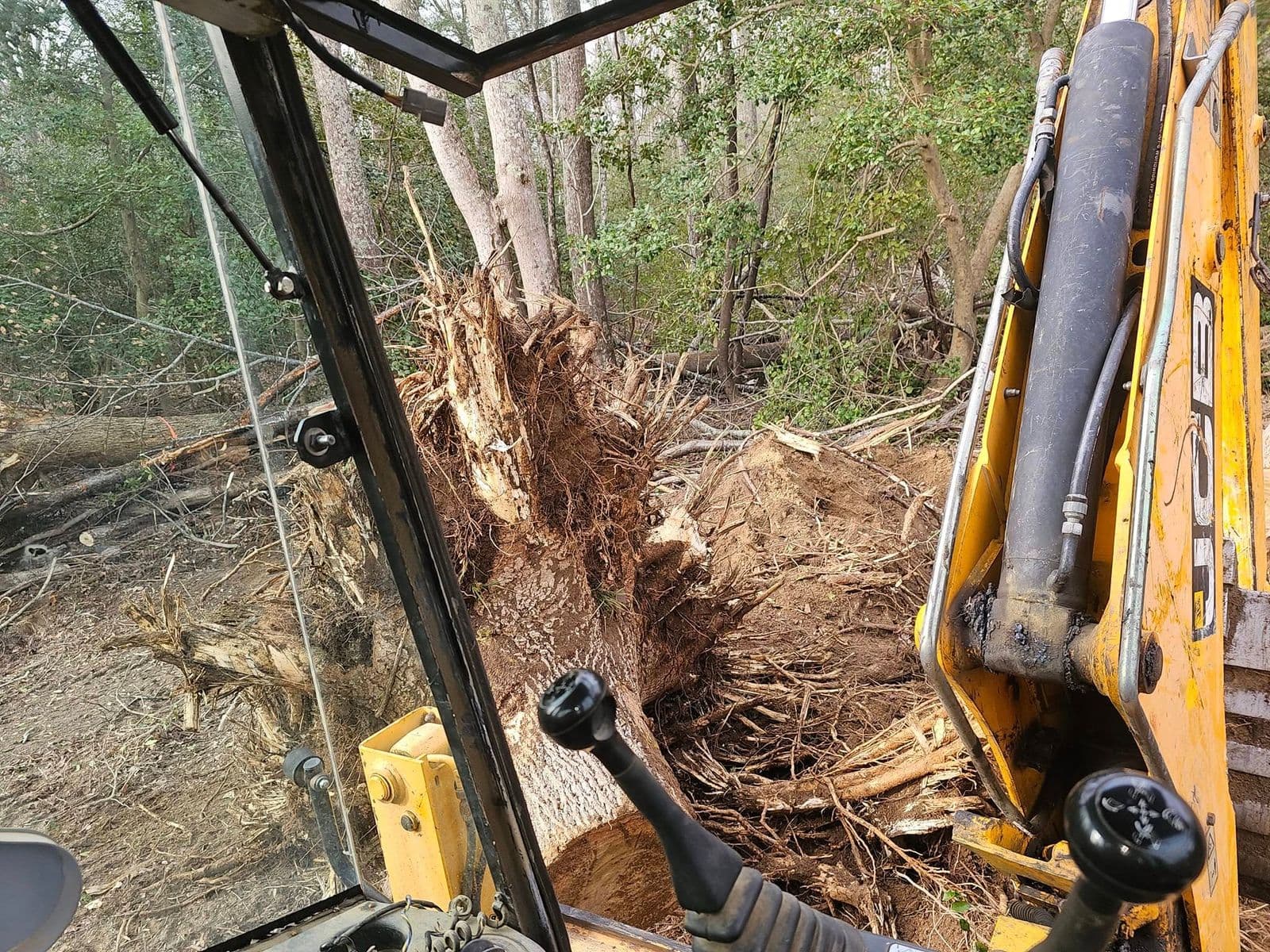 Stump Removal in Brandywine, MD by Hired Gunz Services LLC